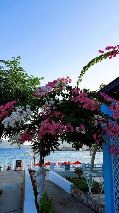 Haraki Mare Studios Beach Front Exteriör bild